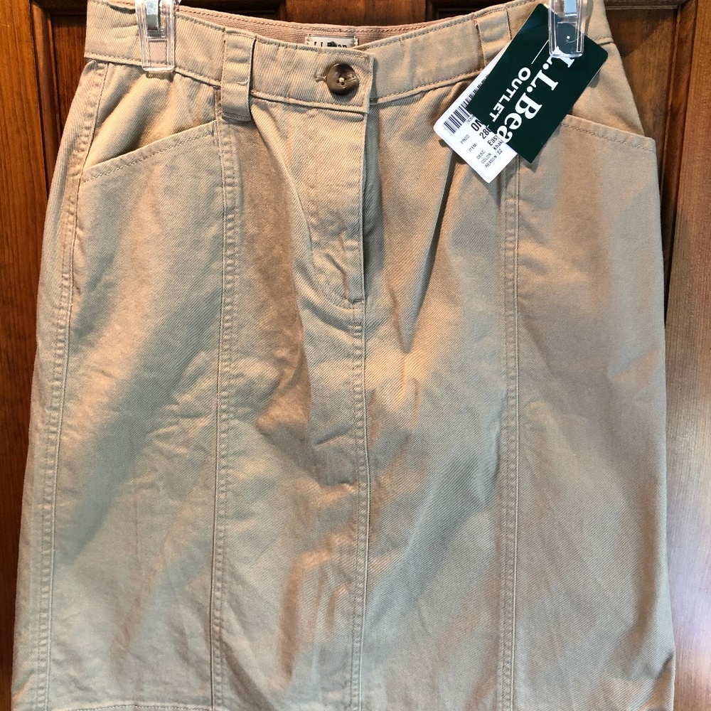 Skirt - NWT